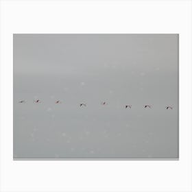 Flamingos Flying High in Namibia Canvas Print