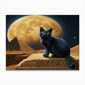 Cat In The Moonlight 4 Canvas Print