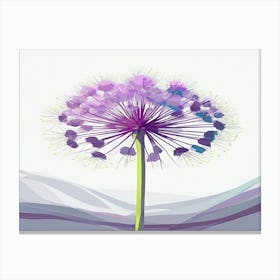 Allium 14 Canvas Print
