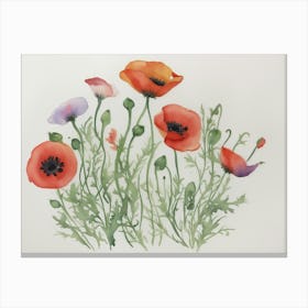 Poppies Canvas Print