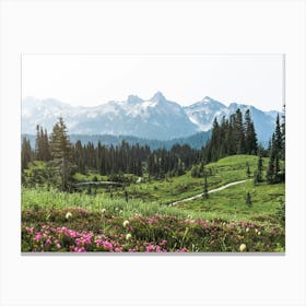 Mount Rainier Summer Wildflower Adventures Canvas Print