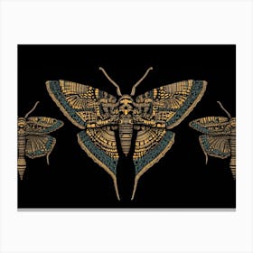 Three Moths Canvas Print