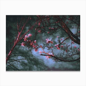 Blossom Canvas Print