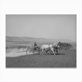 Duster Of The Allen Valley Duster Association In Action, Sanpete County, Utah, This Is A Fsa (Farm Security Canvas Print