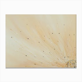 Abstract Sun Canvas Print