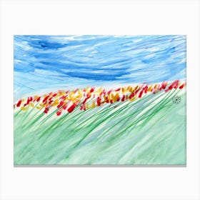 Field Of Tulips Canvas Print