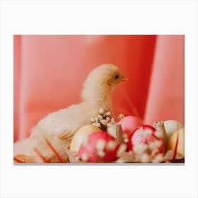 Easter Chick Canvas Print