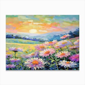 Daisies At Sunset Canvas Print