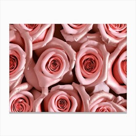 Pink Roses 3 Canvas Print