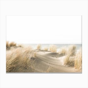 Sand Dune Grasses Canvas Print