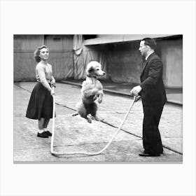 Poodle Jumping Rope, Funny Black and White Old Photo, Vintage Dog Art Canvas Print