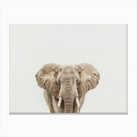 Elephant 1 Canvas Print