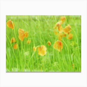 Field Of Poppies in the summertime Canvas Print