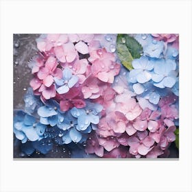 Hydrangeas 27 Canvas Print