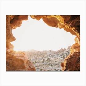 Joshua Tree Desert View Canvas Print