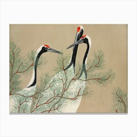 Cranes From Momoyogusa Flowers Of A Hundred Generations (1909), Kamisaka Sekka Canvas Print