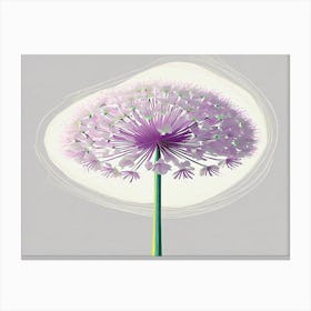 Allium 13 Canvas Print