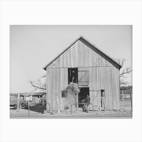 Son Of Pomp Hall, Tenant Farmer, Carrying Hay Into Barn To Feed Mule While His Brother Pitches Down The Hay From Canvas Print