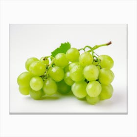 Green Grapes 8 Canvas Print