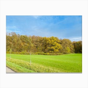 Road In The Countryside 11 Canvas Print