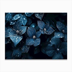 Dark flowers with waterdrops Canvas Print