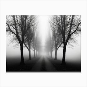 Road In The Fog 1 Canvas Print