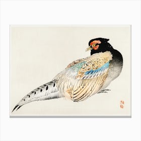 Peregrine Falcon, Kōno Bairei Canvas Print