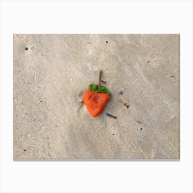 Stone, looking like Strawberry On The Beach Canvas Print