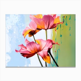 C Ex 8 Canvas Print