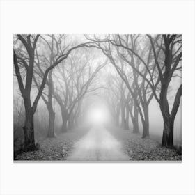 Road In The Fog 2 Canvas Print