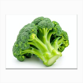 Broccoli 7 Canvas Print