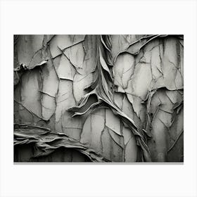 Peeling Bark Canvas Print