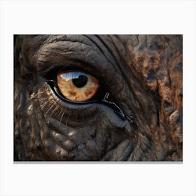 African Buffalo Eye 2 Canvas Print