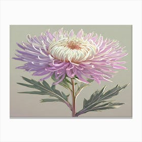 Chrysanthemum 18 Canvas Print