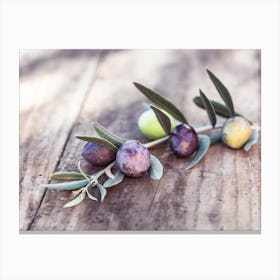 Green and black olive fruits branch on rustic wooden table mediterranean culture Canvas Print