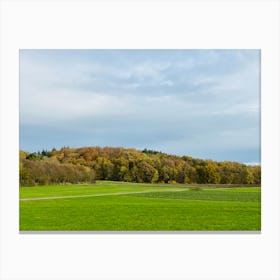 Green Field With Trees 2 Canvas Print