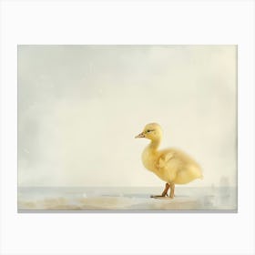 Duckling Kids and Nursery Canvas Print