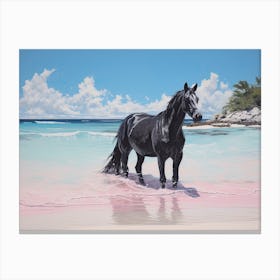 A Horse Oil Painting In Pink Sands Beach, Bahamas, Landscape 4 Canvas Print