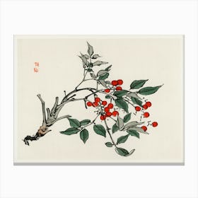 Firethorns, Kōno Bairei Canvas Print