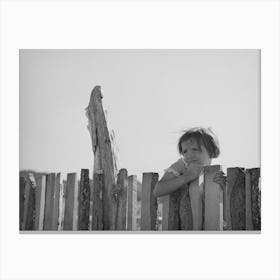 Josie Caudill Looking Over Slab Fence On Her Father S Farm, Pie Town, New Mexico By Russell Lee Canvas Print