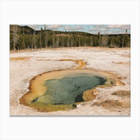 Prismatic Spring Canvas Print