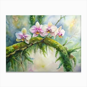 Orchids On Moss Canvas Print