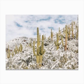 Light Snow In Desert Canvas Print