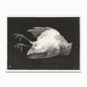 Dead Robin (1895), Theo Van Hoytema Canvas Print