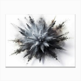 Black Powder Explosion On White Background Canvas Print