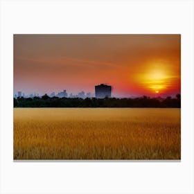 Sunset In A Wheat Field 1 Canvas Print