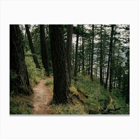 Side Trail Canvas Print