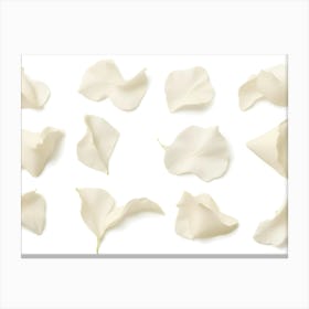 Set Of White Flower Petals Botanical Elements 2 Canvas Print