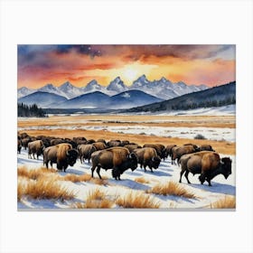 Bison Herd A Symphony of Frost and Snow Canvas Print