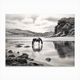 A Horse Oil Painting In Boulders Beach, South Africa, Landscape 2 Canvas Print